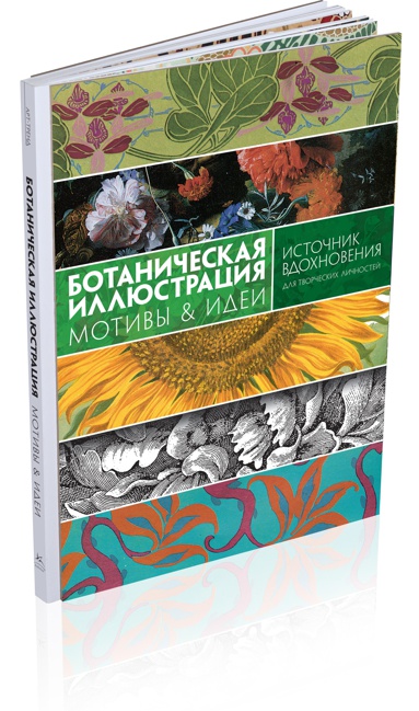 botanicheskaya-illyustratsiya-motivy-idei-2xqs