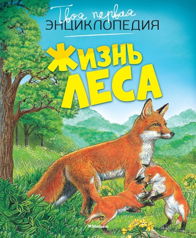 zhizn-lesa-kqwb