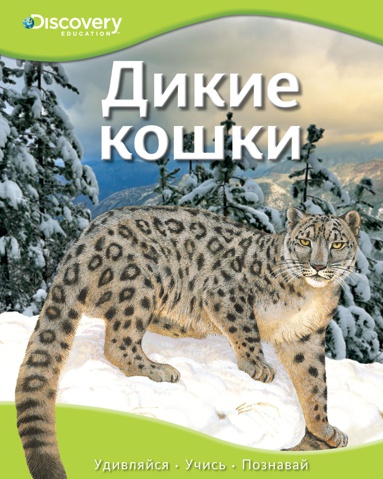 dikie-koshki-brzv