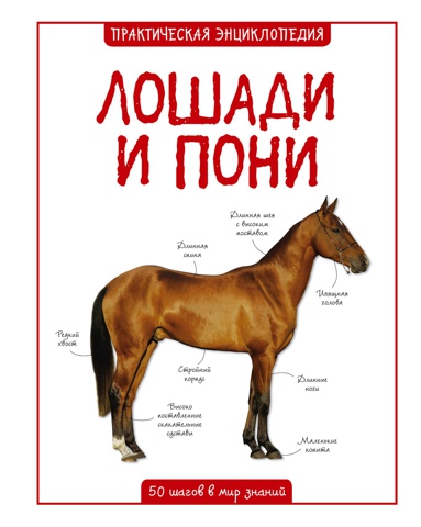 loshadi-i-poni-omul