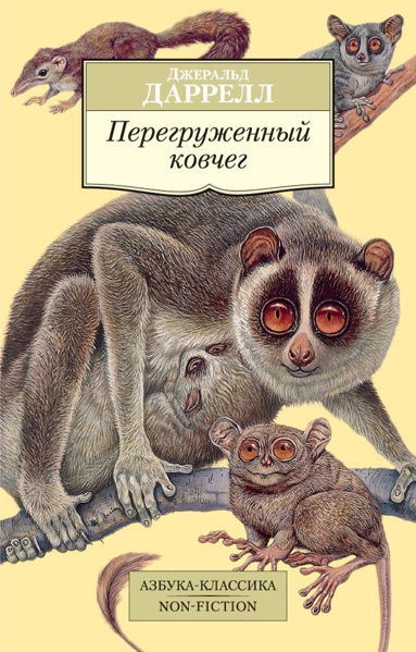peregruzhennyy-kovcheg-wycu
