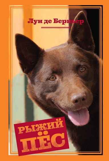 ryzhiy-pyes-dqwa