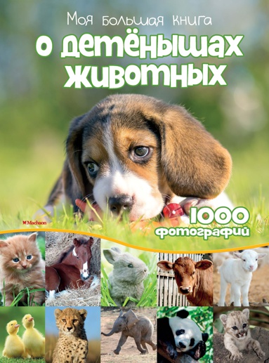 moya-bolshaya-kniga-o-detenyshakh-zhivotnykh-vflt
