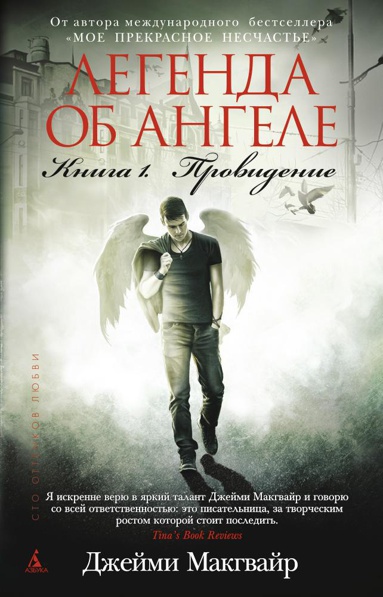 legenda-ob-angele-kniga-1-providenie-jnin