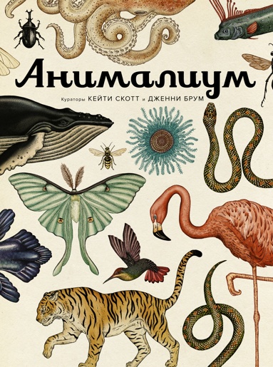 animalium-vcai