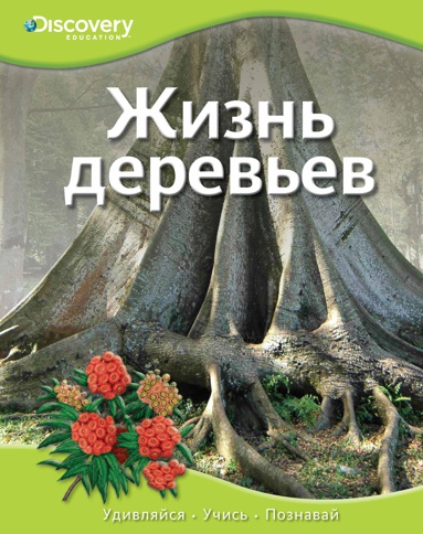 zhizn-derevev-fogh