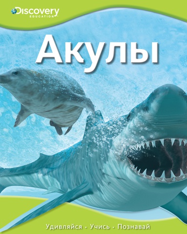 akuly-e4re