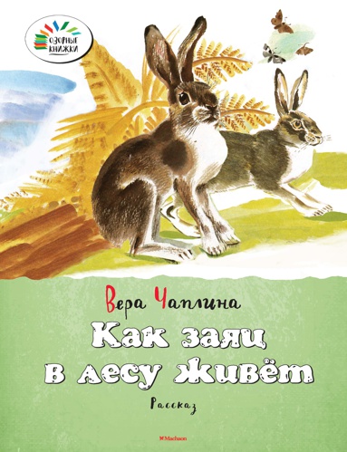 kak-zayats-v-lesu-zhivyet-6wgn