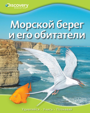 morskoy-bereg-i-ego-obitateli-xfue