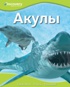 Акулы