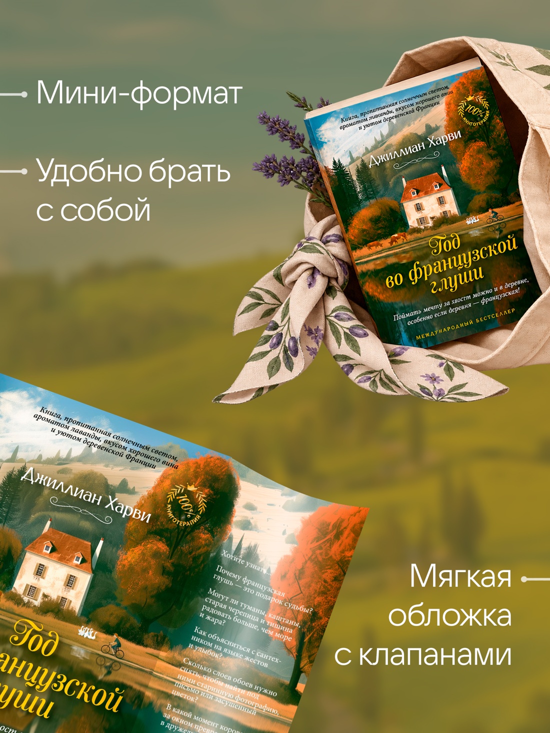 Промо материал к книге "Год во французской глуши" №2