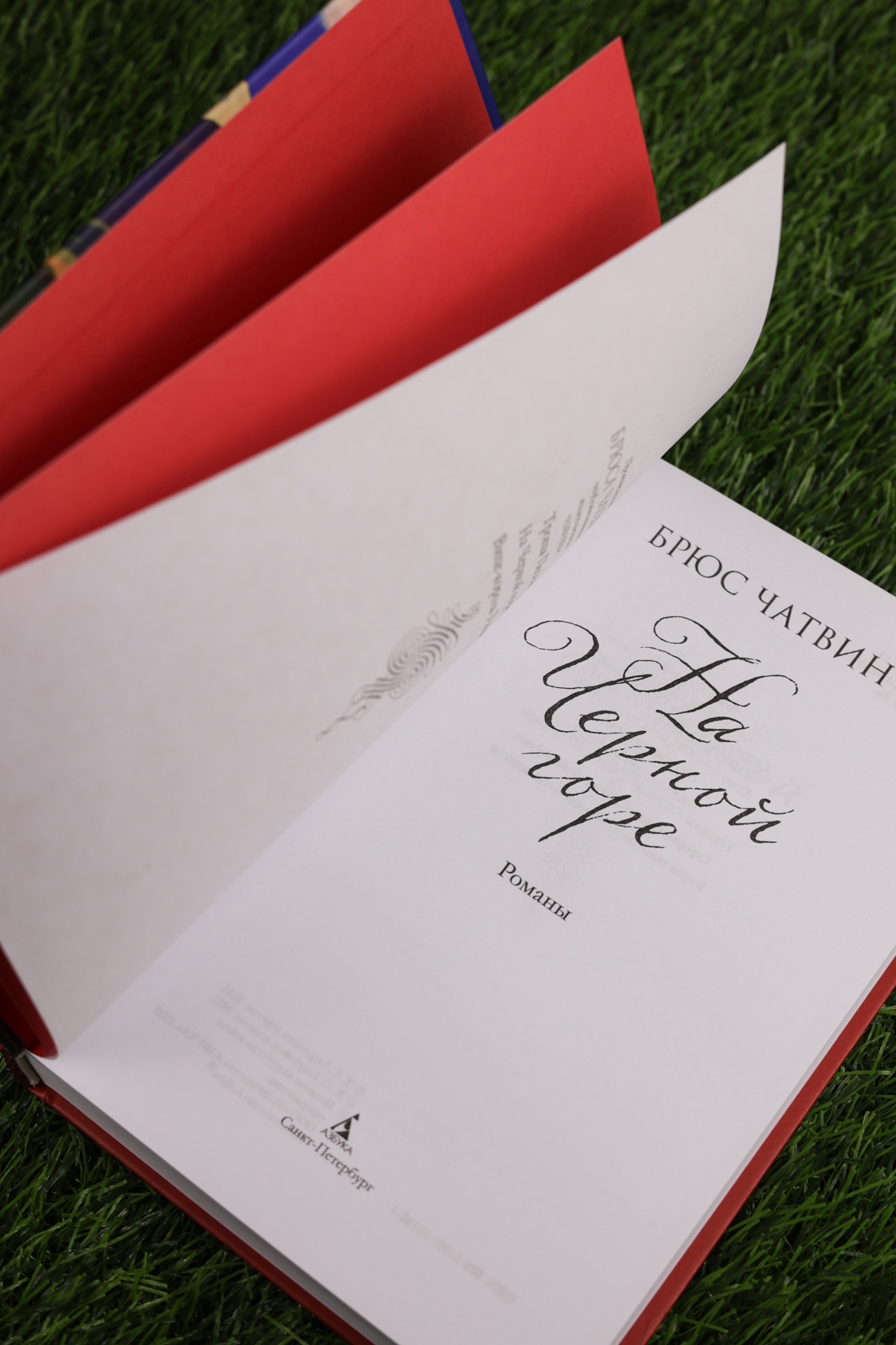 Промо материал к книге "На Черной горе" №6