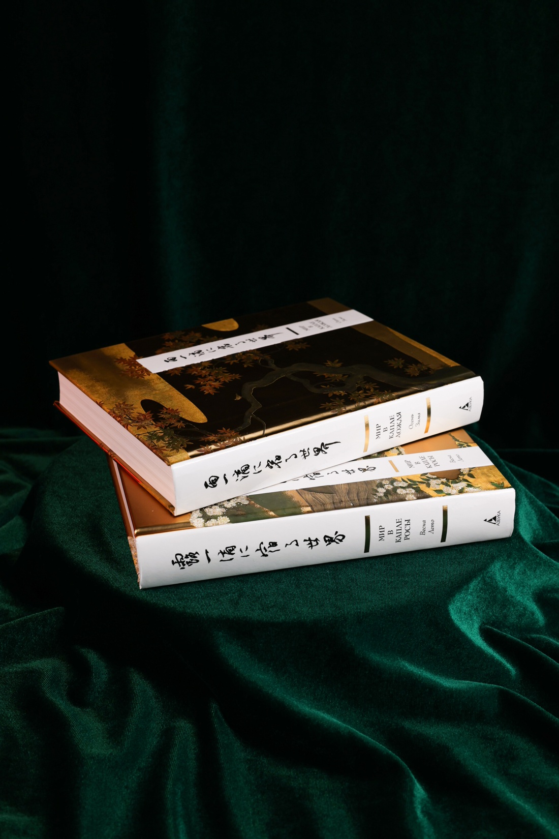 Промо материал к книге "Мир в капле. Комплект из 2-х книг в коробе" №5