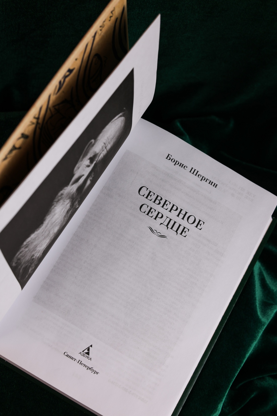 Промо материал к книге "Северное сердце" №7