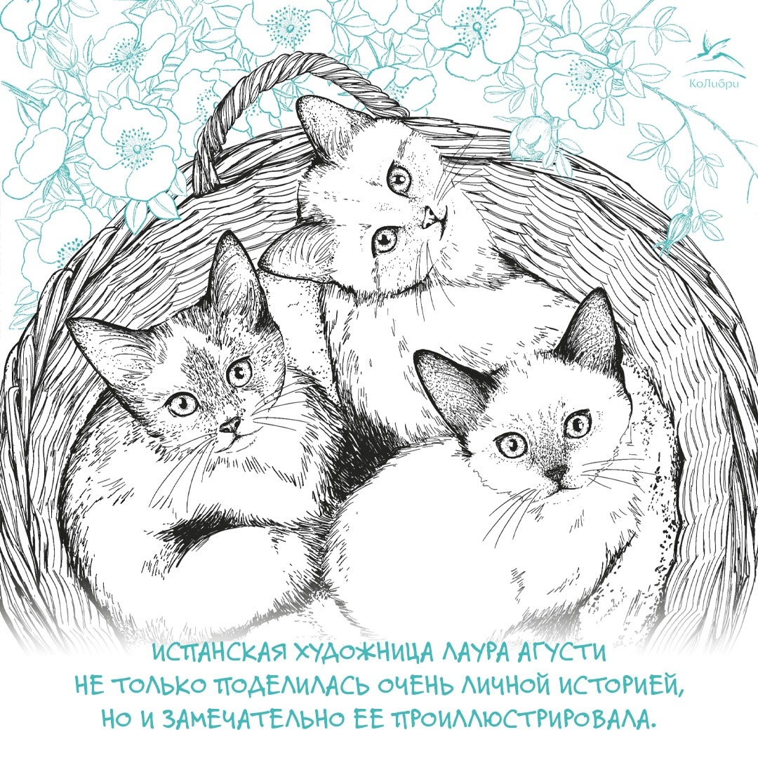 Промо материал к книге "История кота, изменившего одну жизнь. Признание в любви" №3