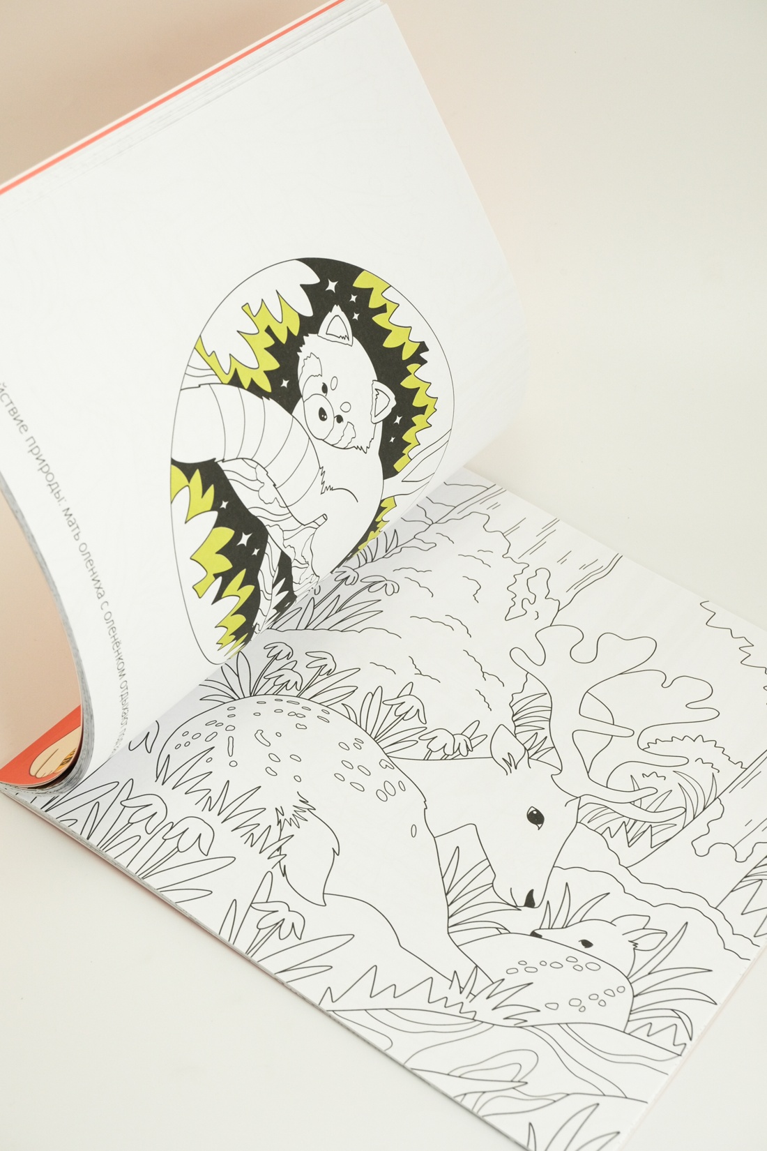 Промо материал к книге "Япония" №12