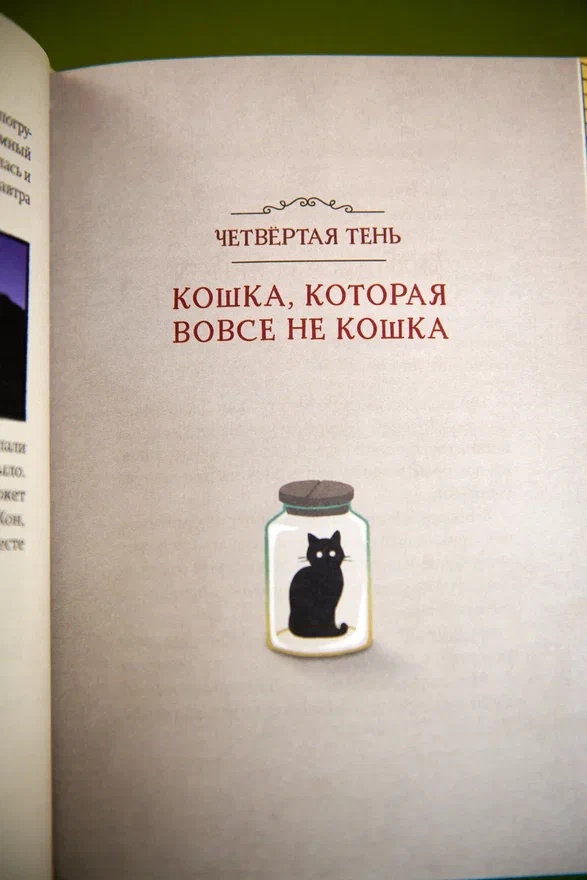 Промо материал к книге "Магазин теней «Лунный свет». Книга 2. Кошка в стеклянной бутылке" №8