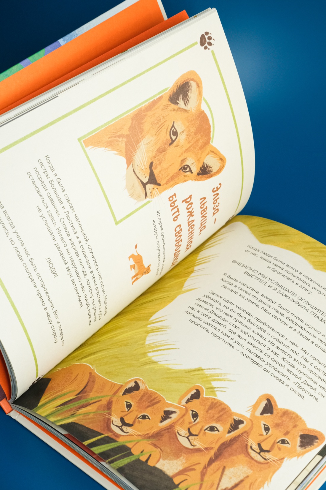 Промо материал к книге "Животные-супергерои. Непридуманные истории для детей" №8