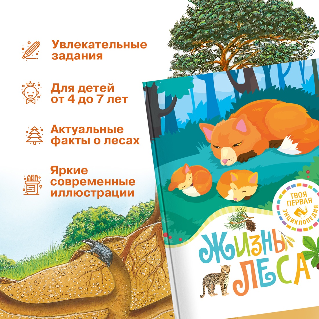 Промо материал к книге "Жизнь леса" №1