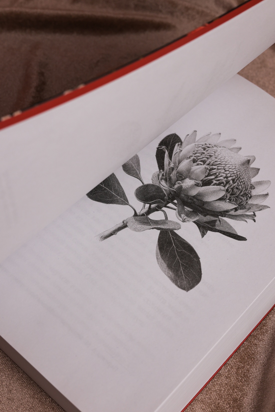 Промо материал к книге "Потерянные цветы Элис Харт" №12