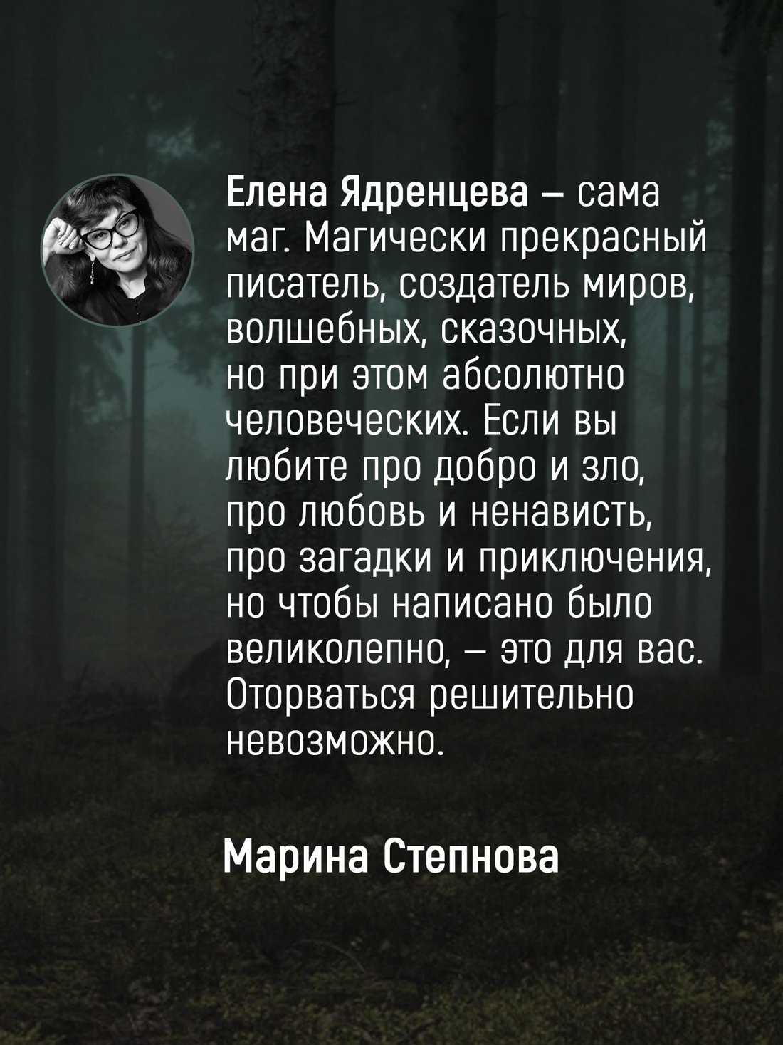 Промо материал к книге "Неверморе" №4