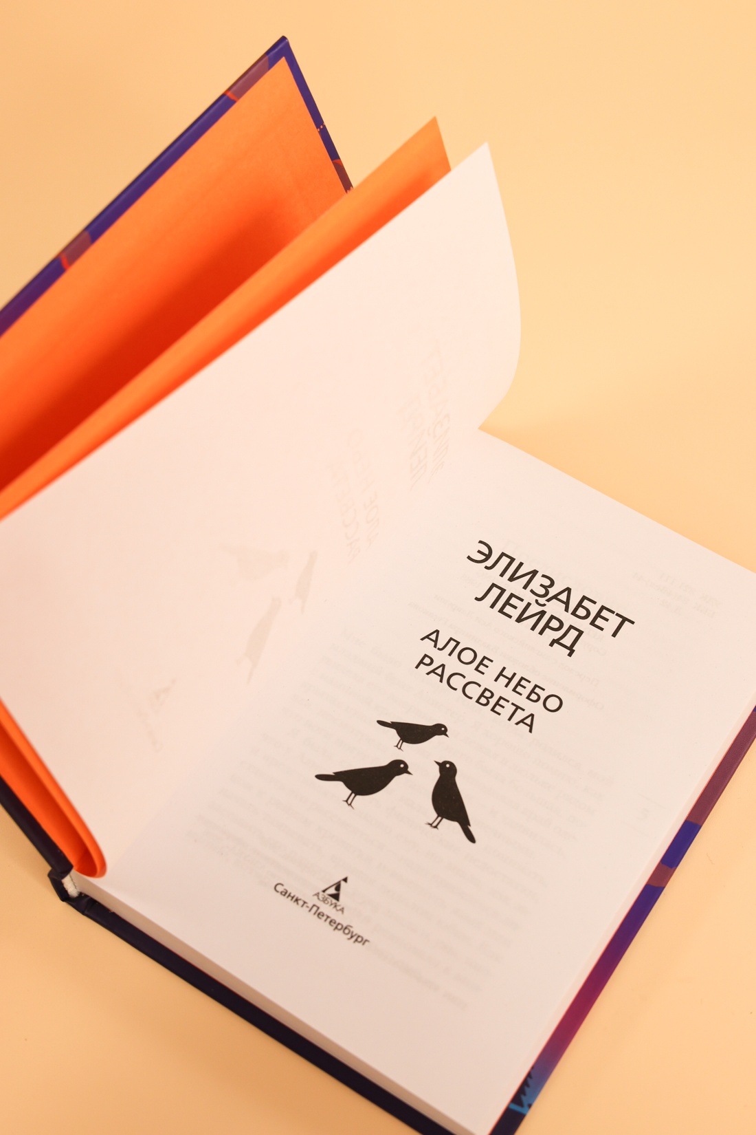 Промо материал к книге "Алое небо рассвета" №8