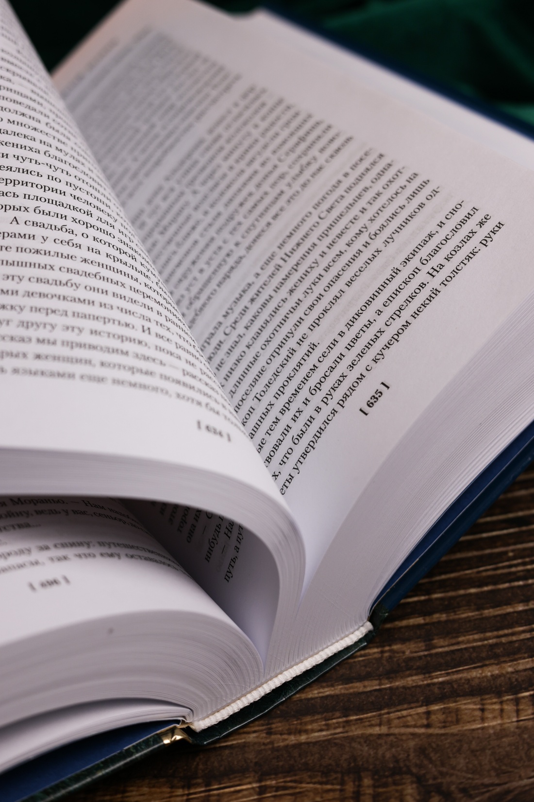 Промо материал к книге "Человек, который съел феникса. Хроники Тенистой Долины" №9