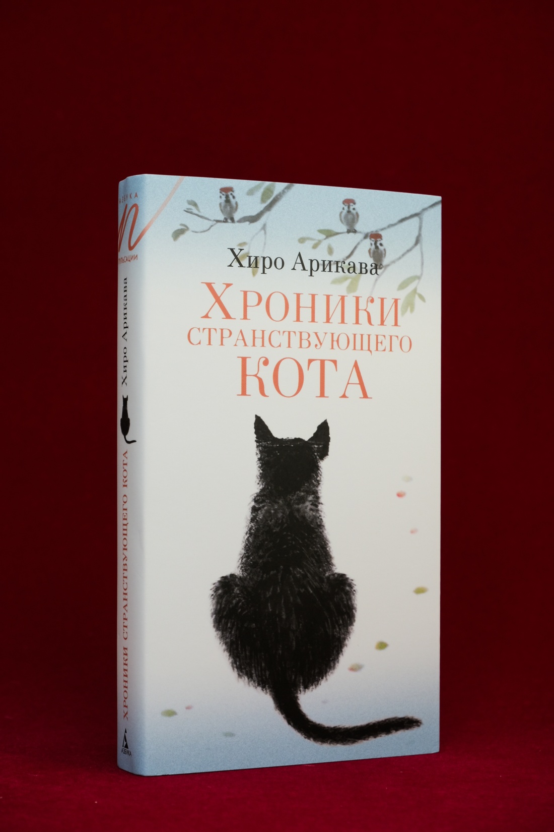 Промо материал к книге "Хроники странствующего кота" №8
