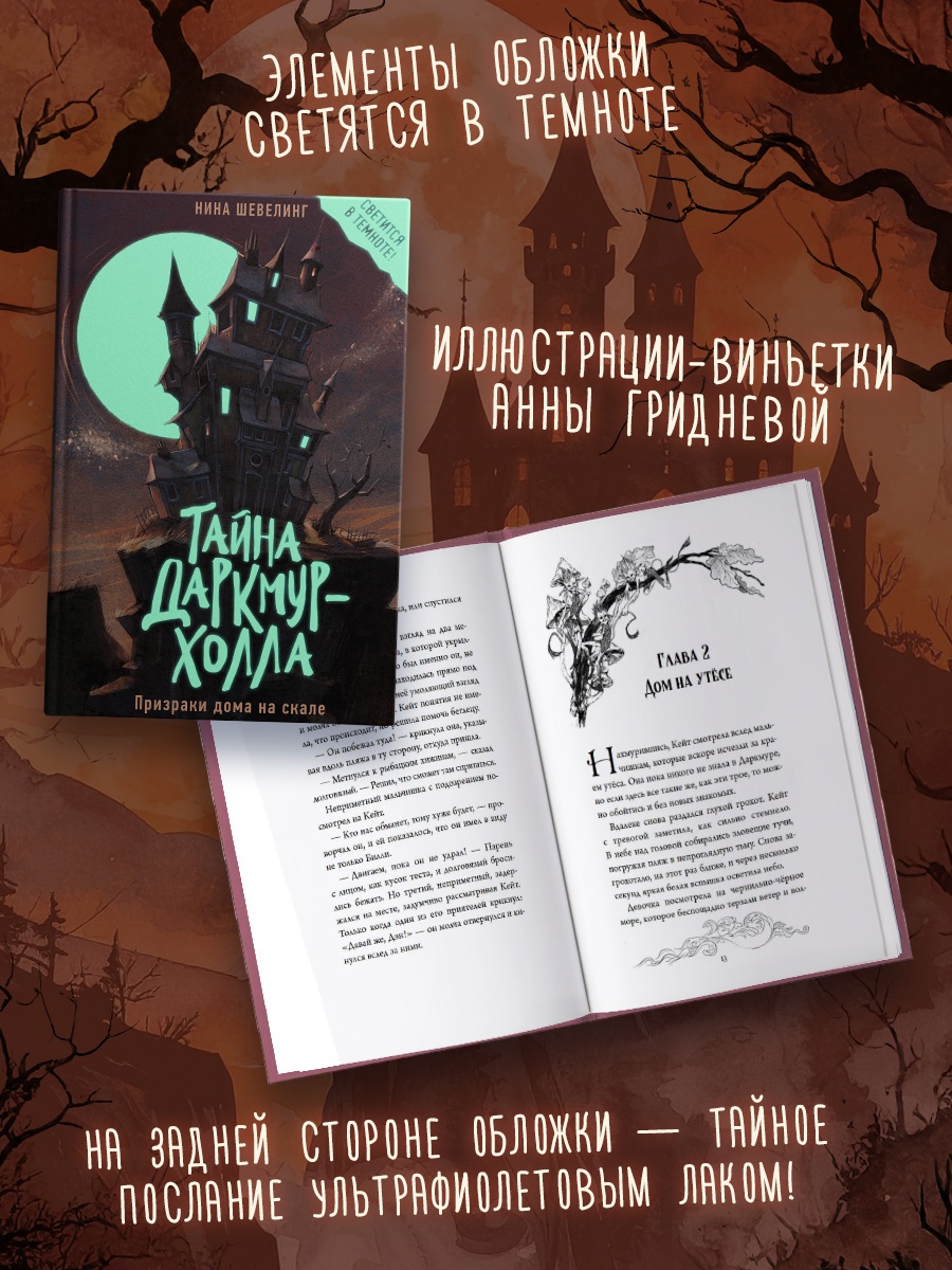Промо материал к книге "Тайна Даркмур-Холла. Призраки дома на скале" №2