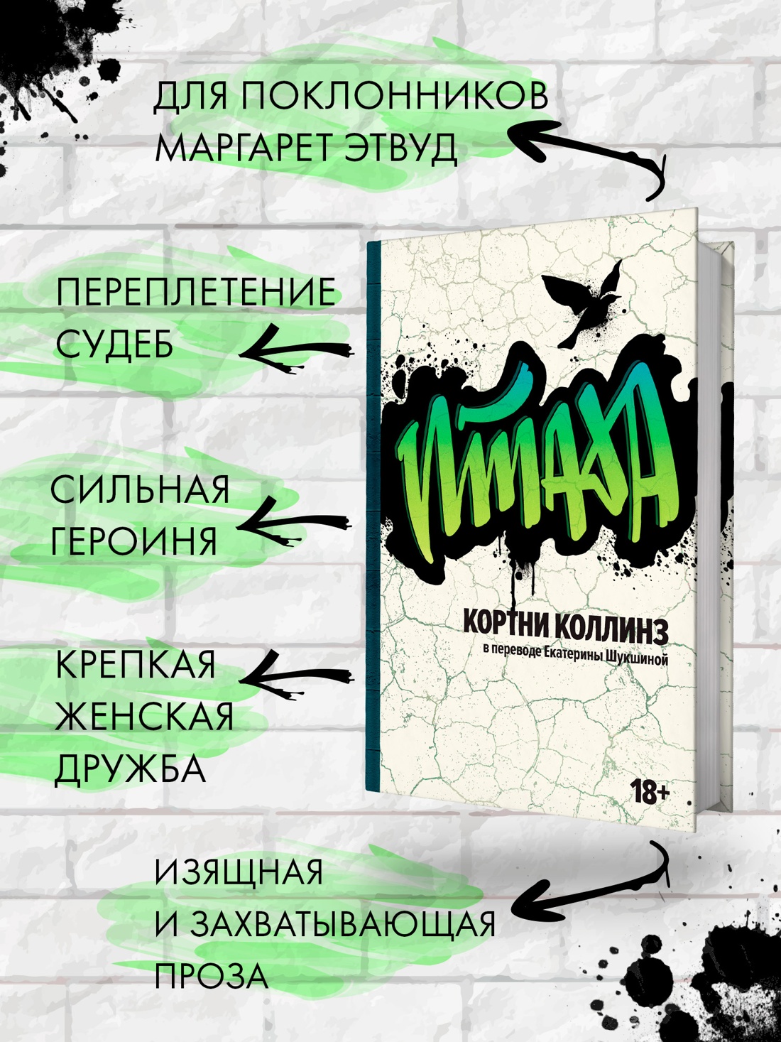 Промо материал к книге "Птаха" №1