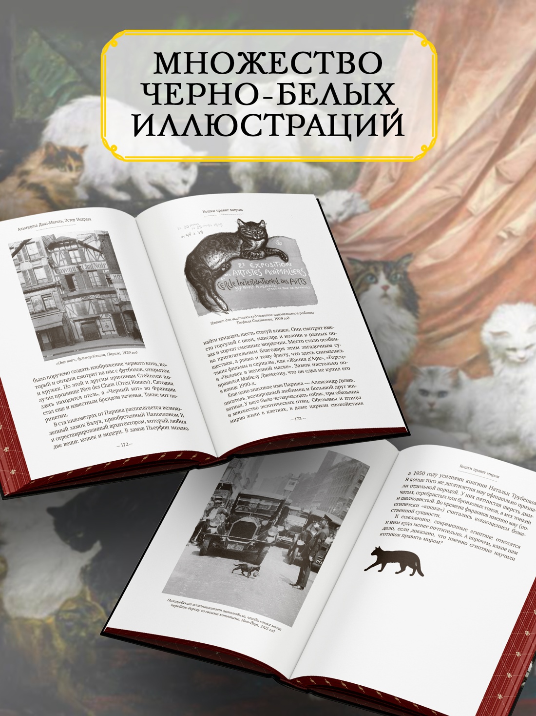 Промо материал к книге "Кошки правят миром" №2