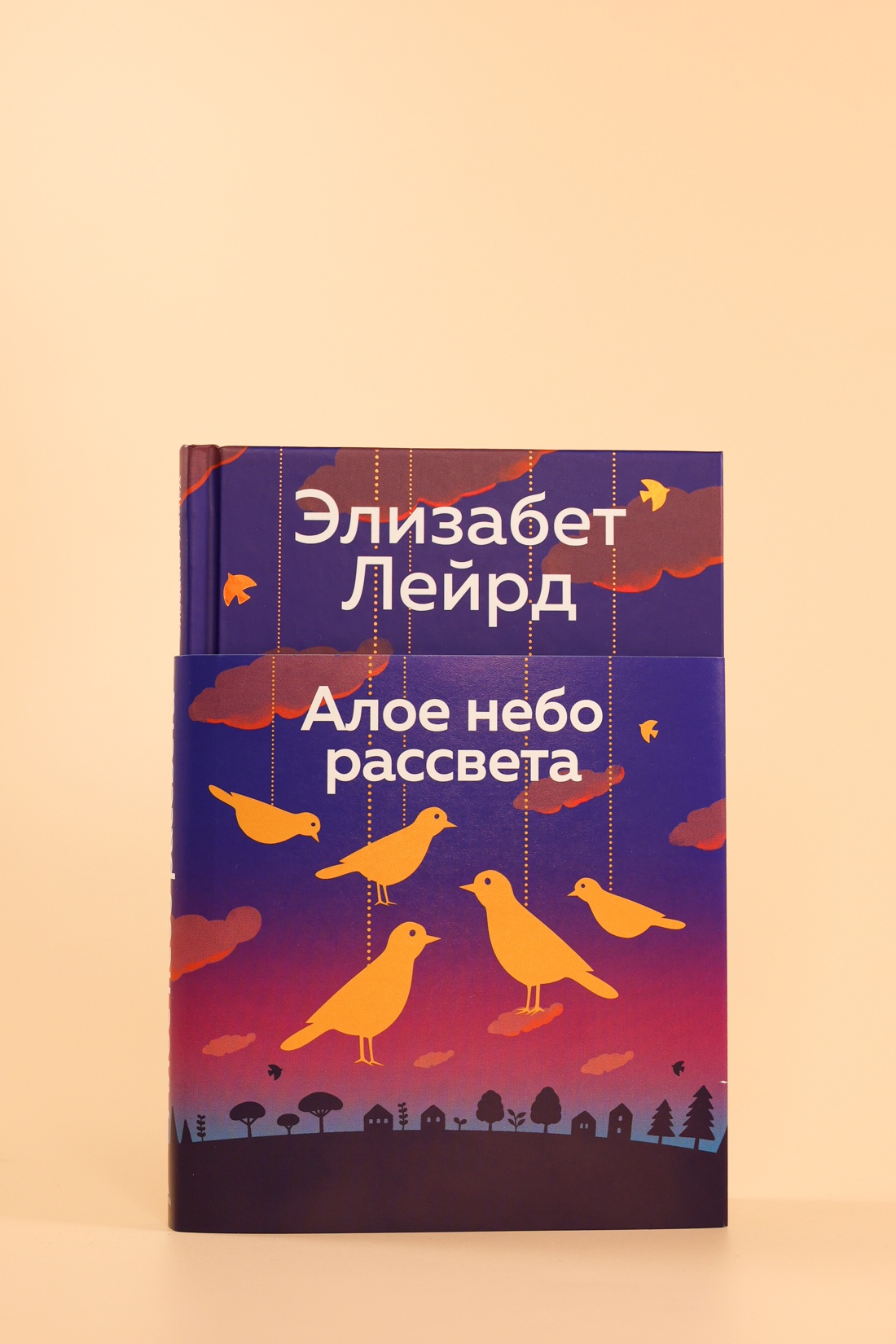 Промо материал к книге "Алое небо рассвета" №5