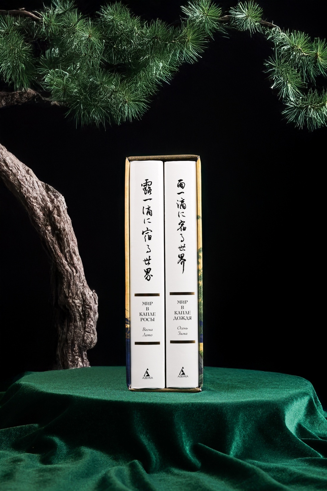 Промо материал к книге "Мир в капле. Комплект из 2-х книг в коробе" №1