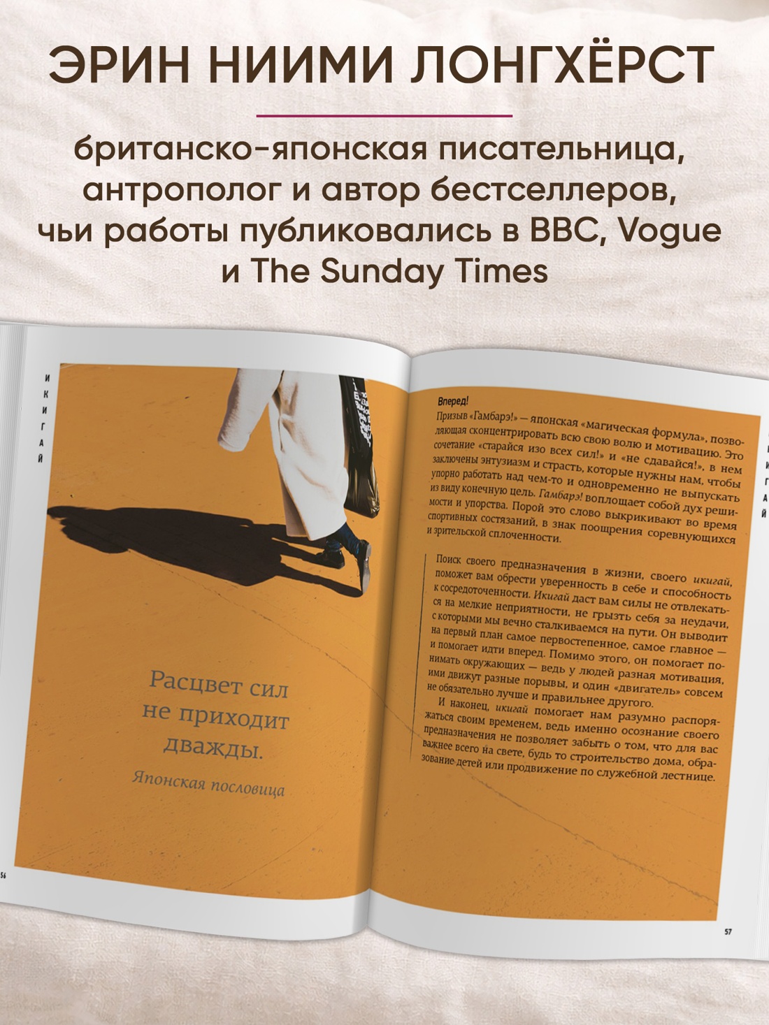 Промо материал к книге "Японизм. Маленькая книга японской жизненной мудрости" №2