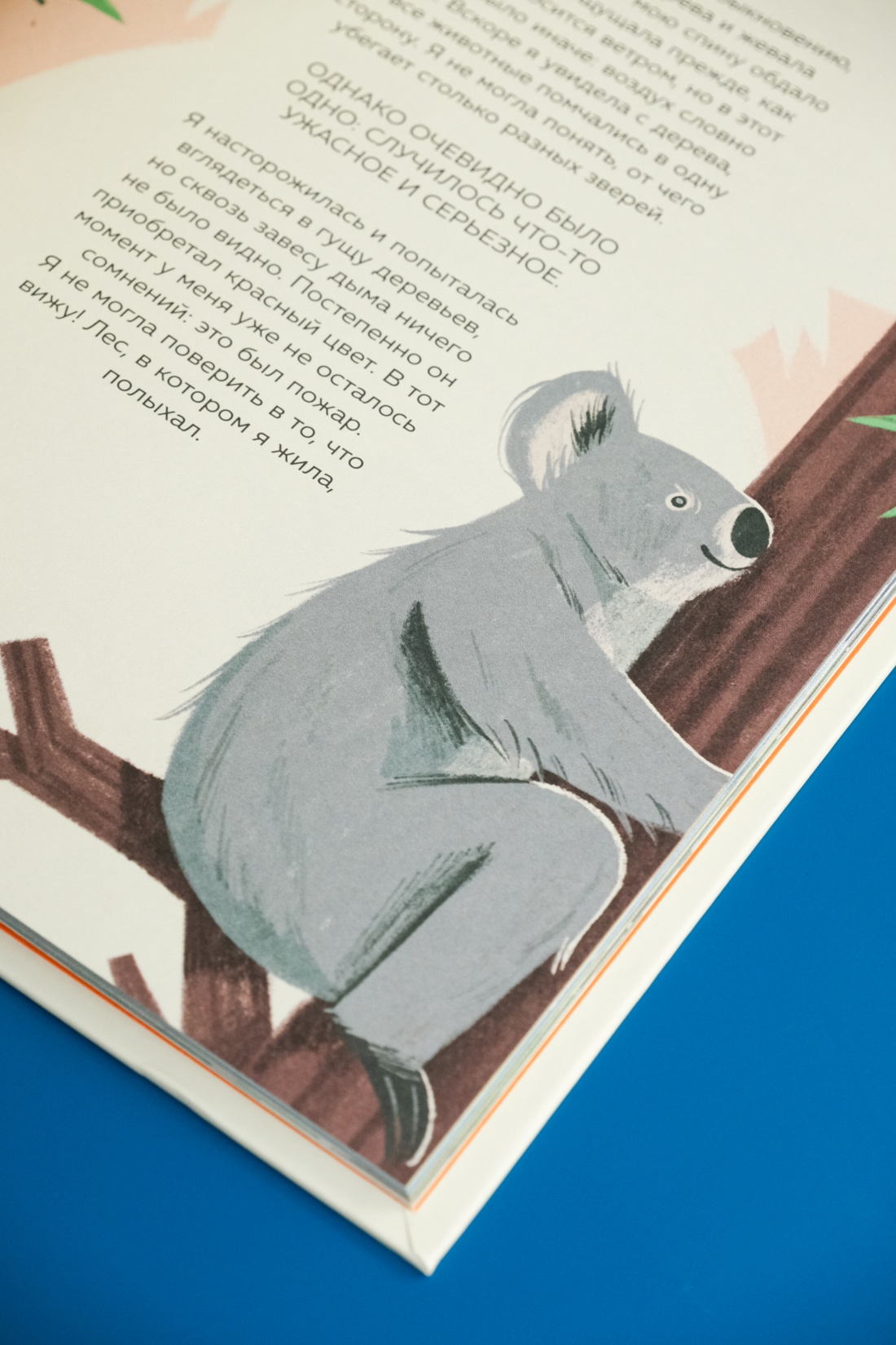 Промо материал к книге "Животные-супергерои. Непридуманные истории для детей" №10