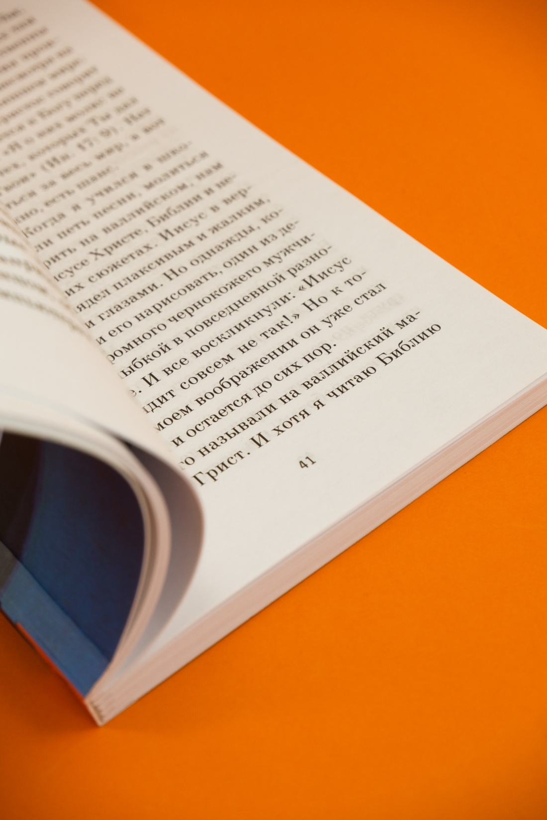 Промо материал к книге "Синяя книга Нэбо" №14