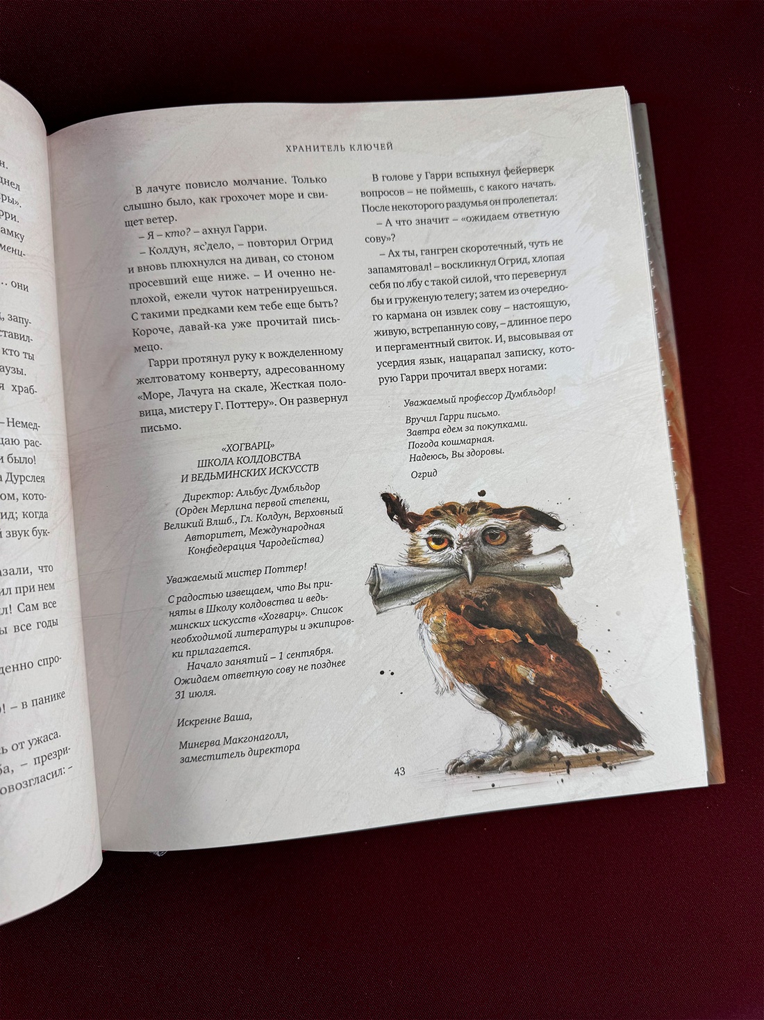 Промо материал к книге "Гарри Поттер и философский камень (с цветными иллюстрациями)" №6