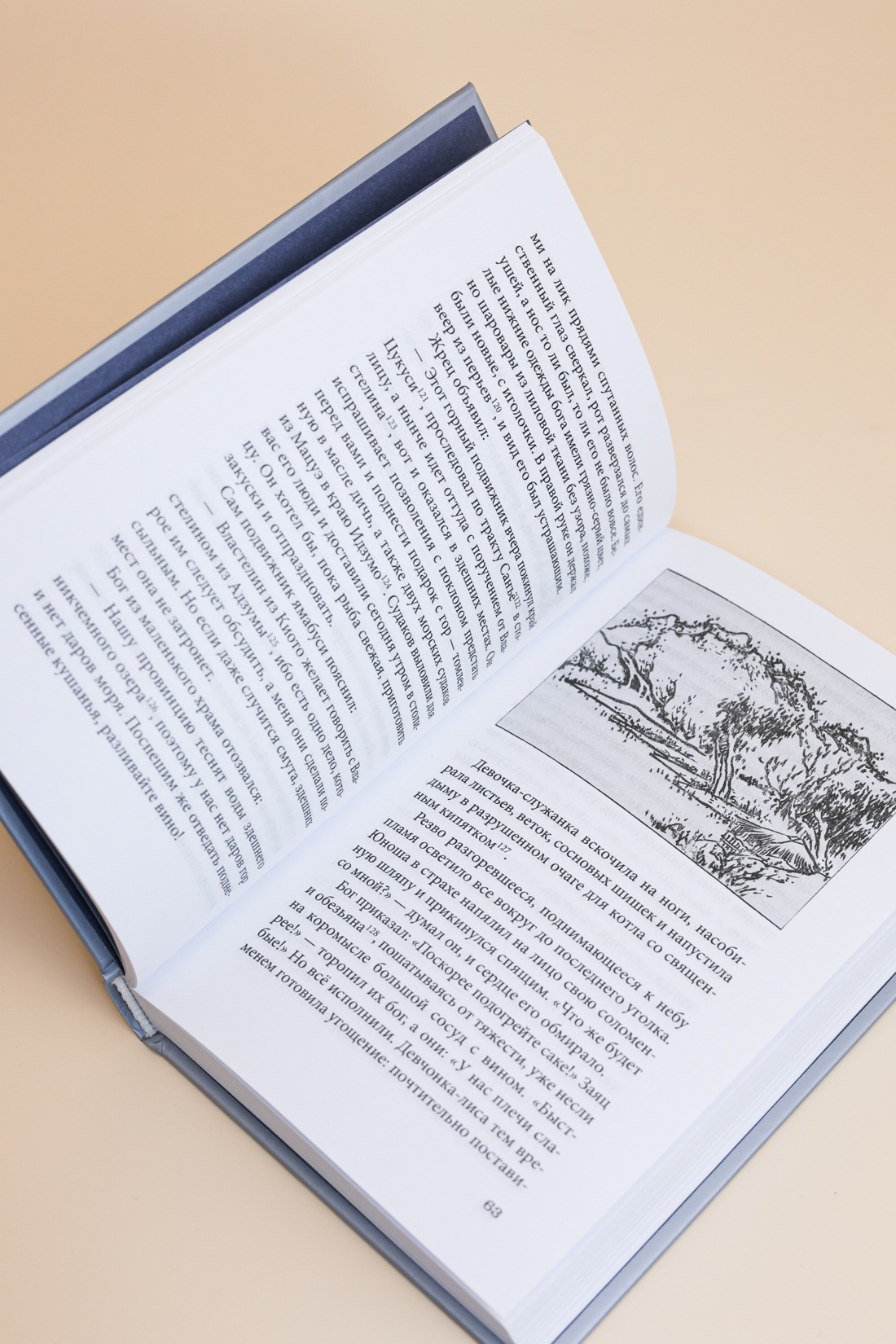 Промо материал к книге "Сказки весеннего дождя. Повесть Западных гор" №7