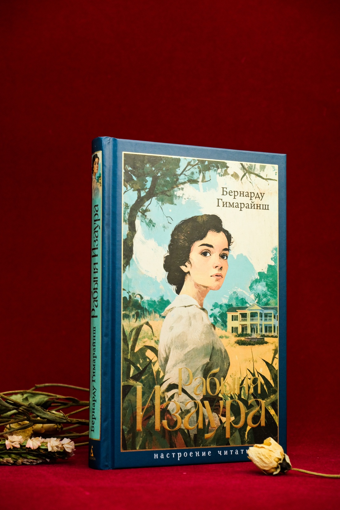 Промо материал к книге "Рабыня Изаура" №8