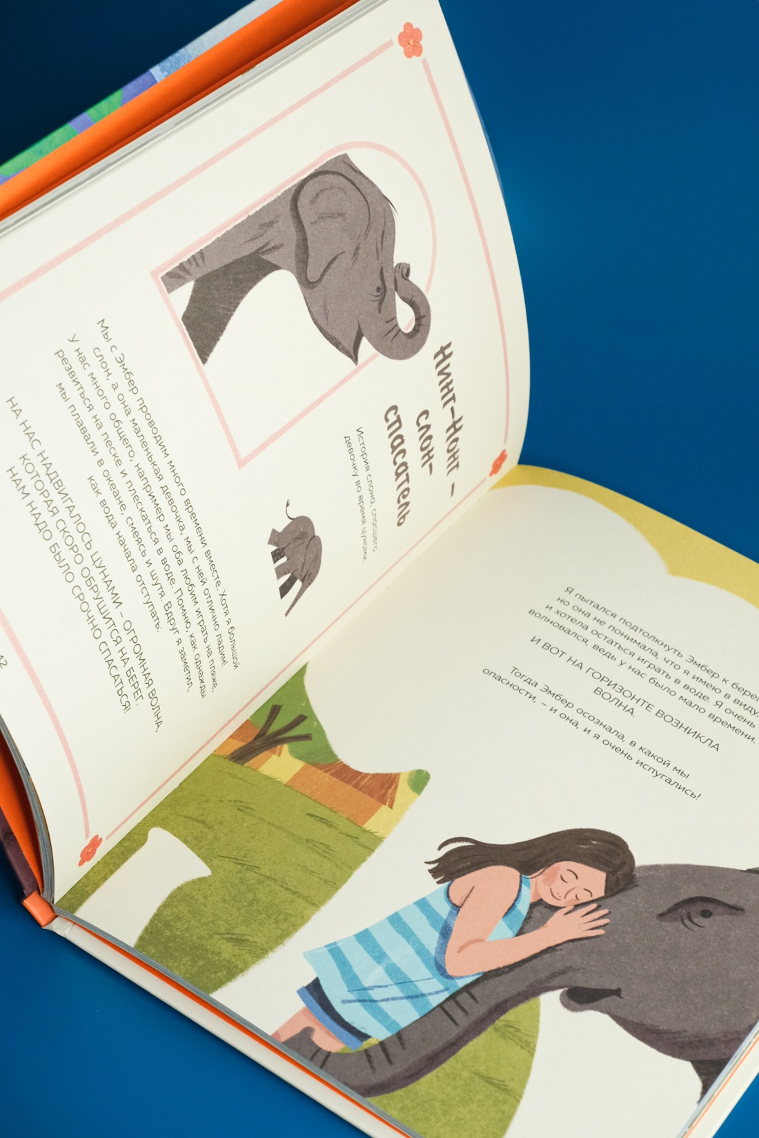 Промо материал к книге "Животные-супергерои. Непридуманные истории для детей" №11