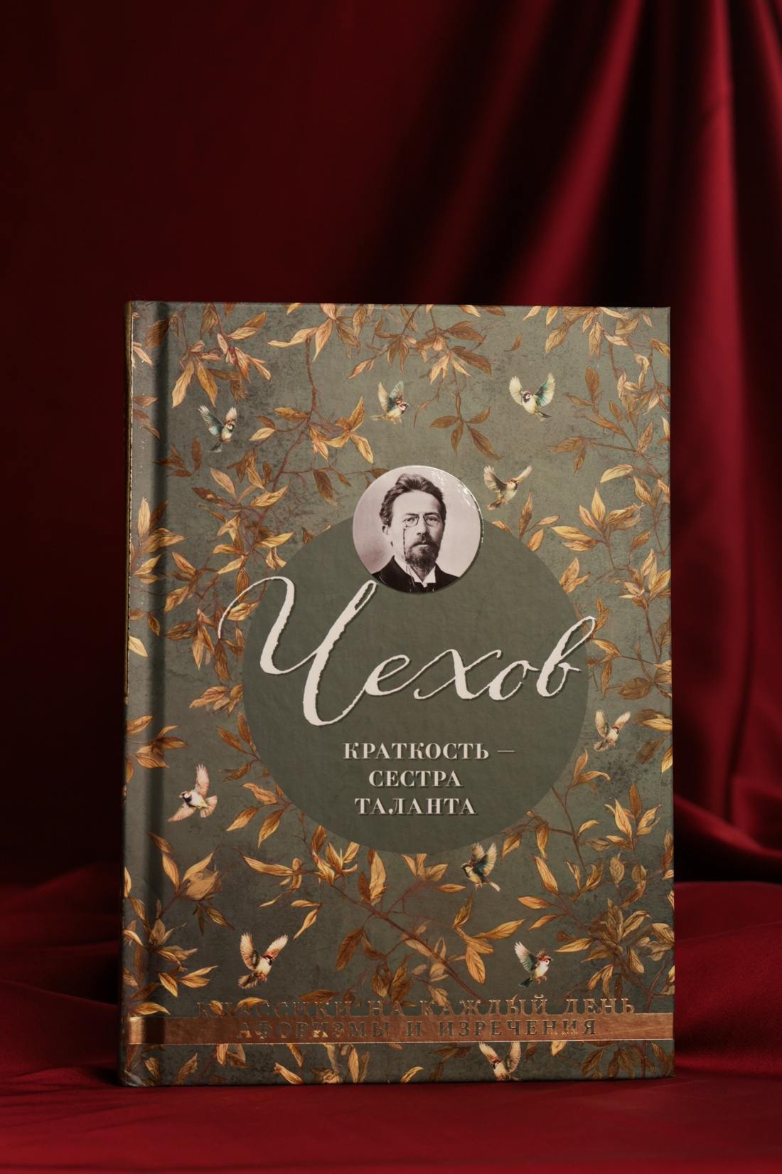 Промо материал к книге "Краткость — сестра таланта" №4