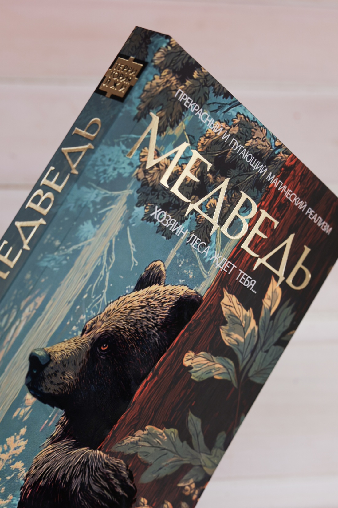 Промо материал к книге "Медведь" №12