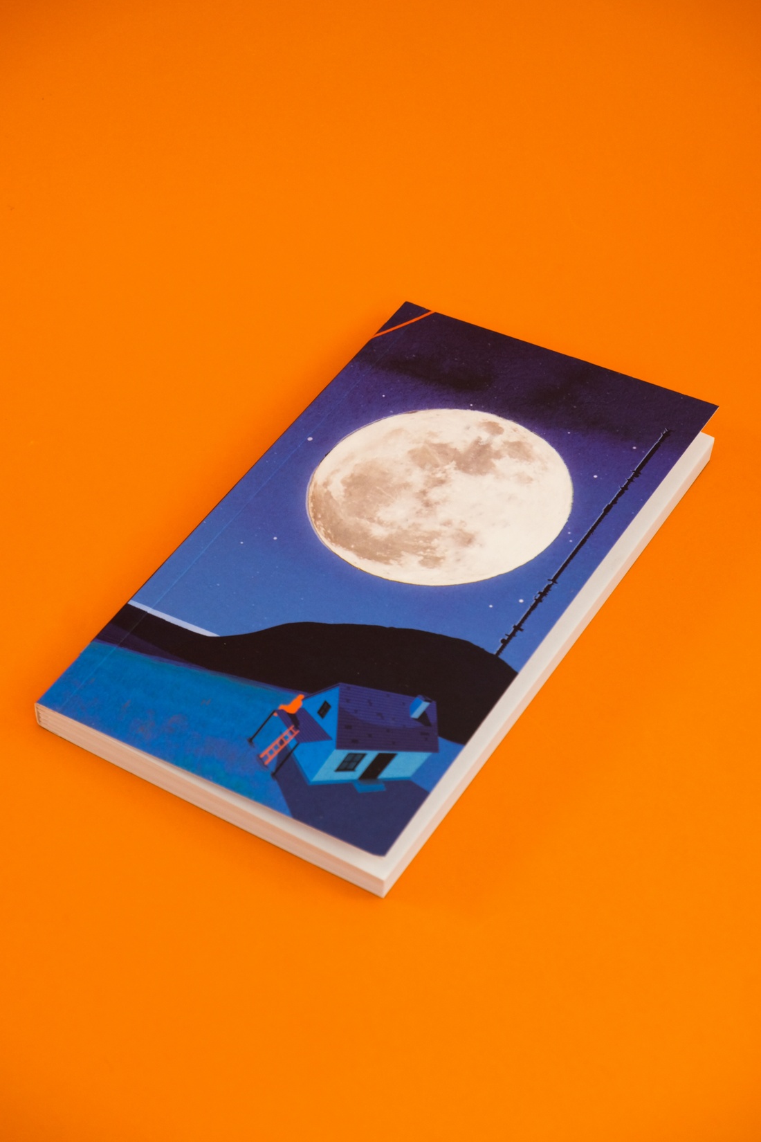 Промо материал к книге "Синяя книга Нэбо" №11