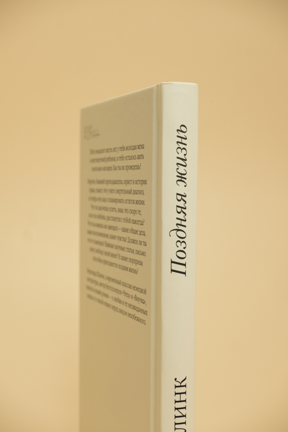 Промо материал к книге "Поздняя жизнь" №9