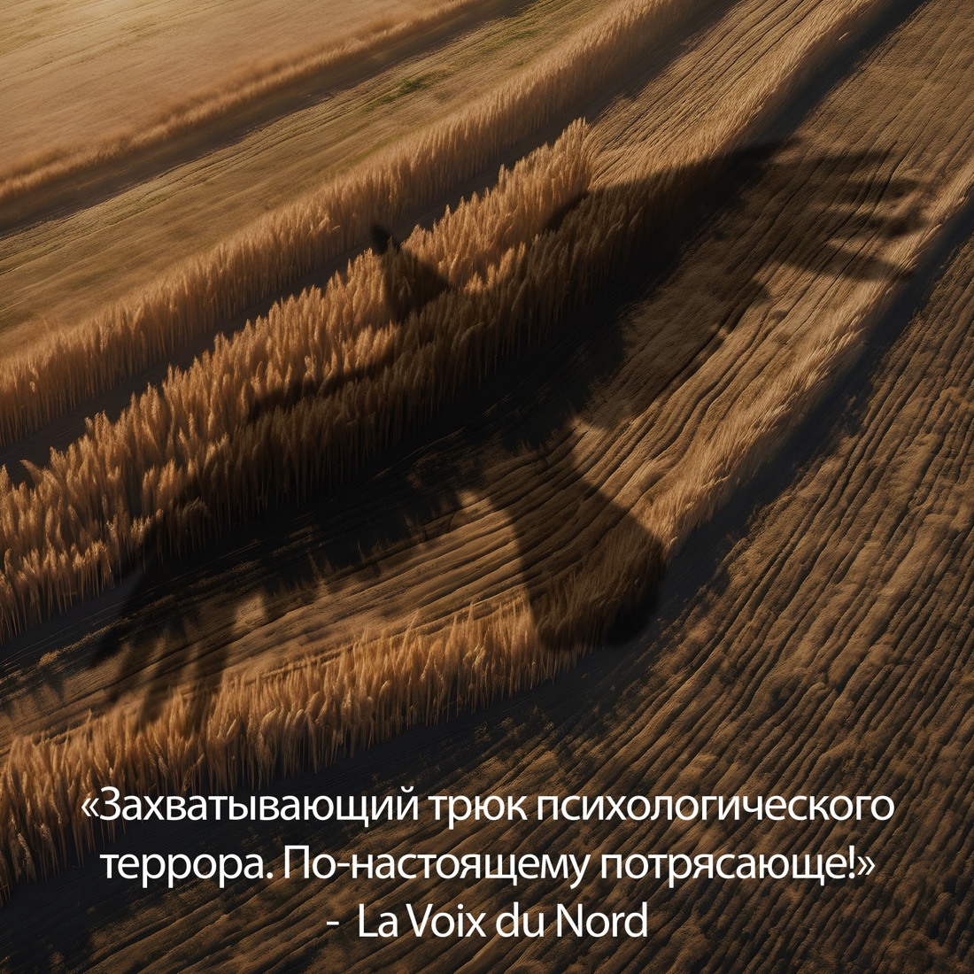 Промо материал к книге "Иллюзия (твердый)" №7