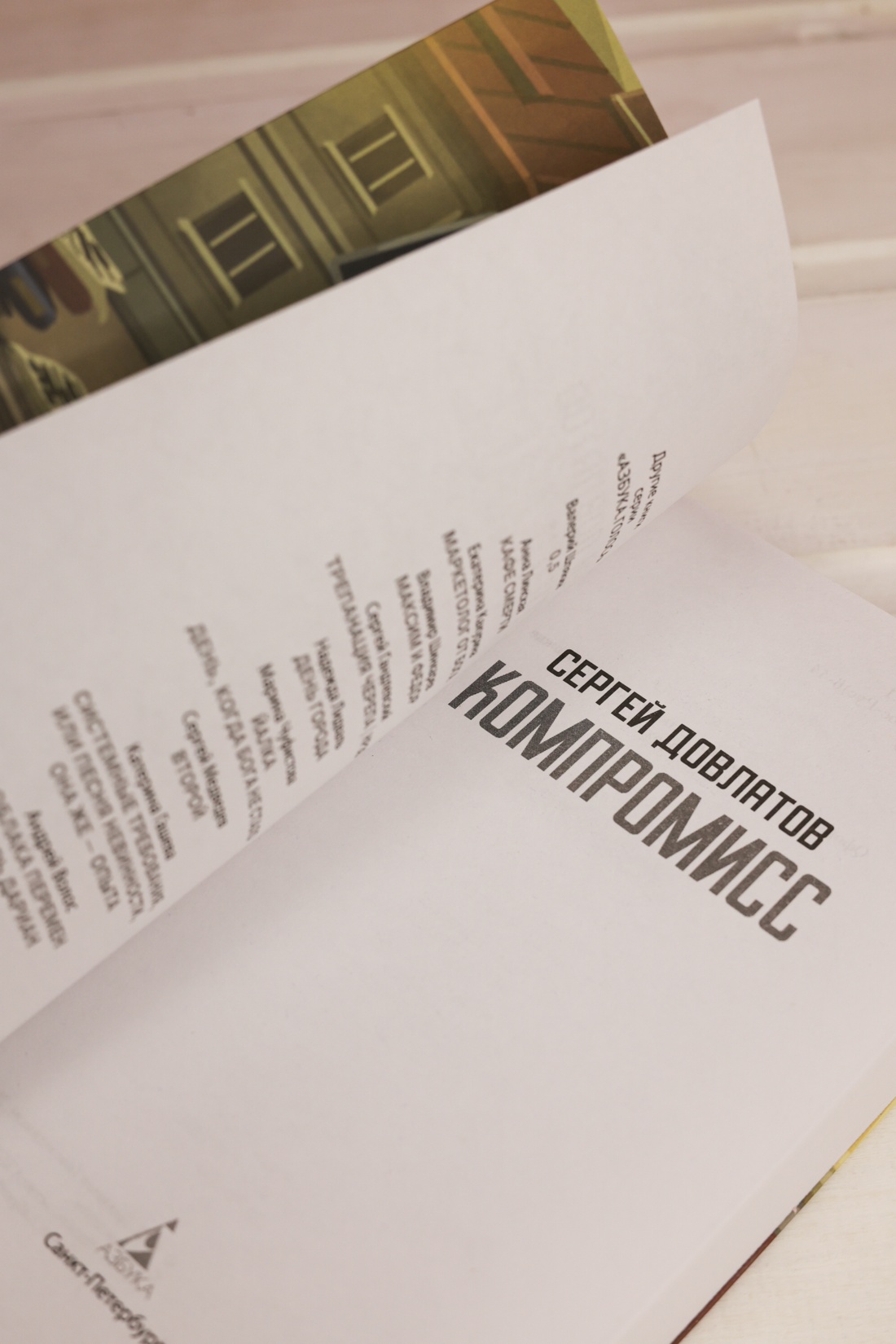 Промо материал к книге "Компромисс" №7