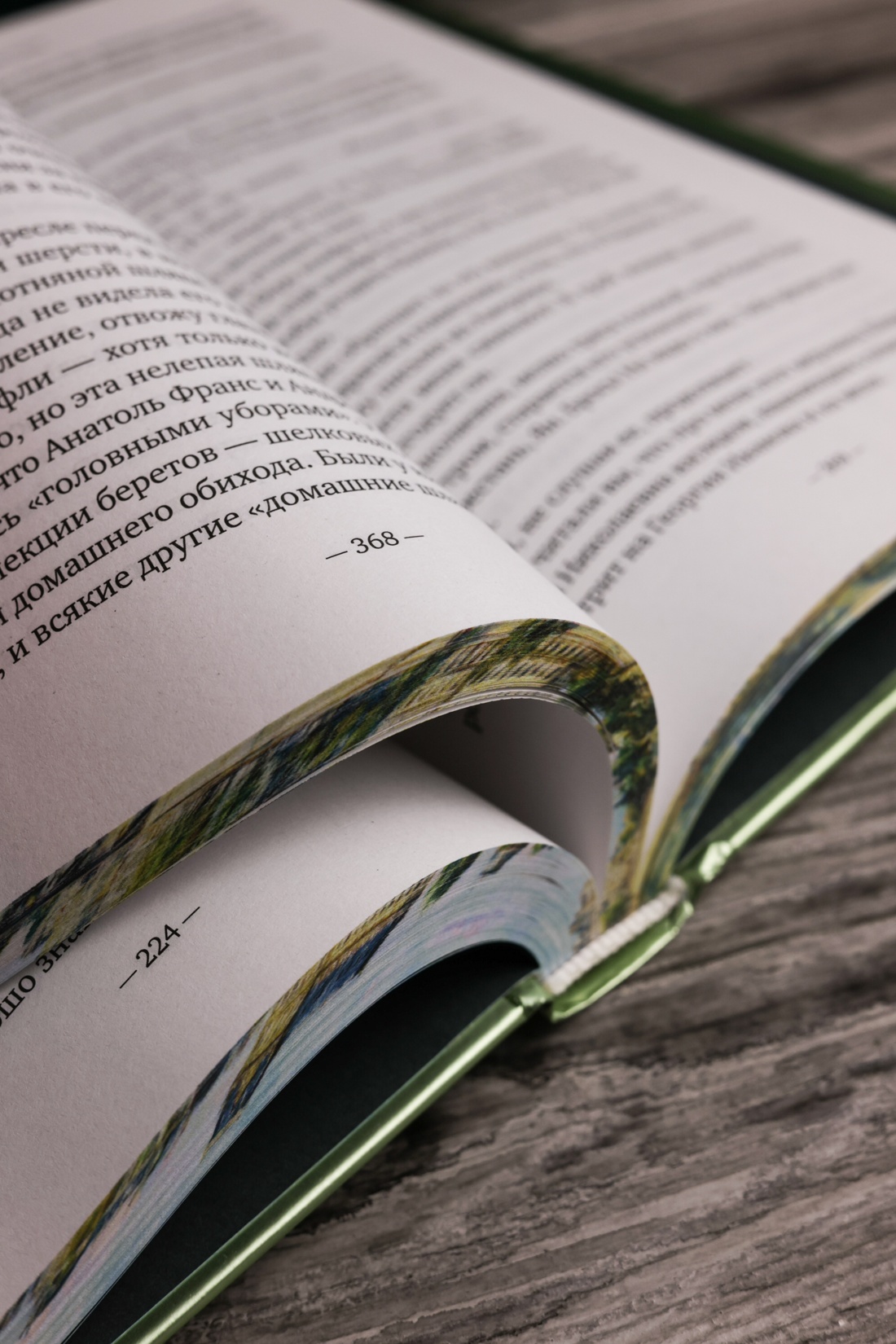 Промо материал к книге "На берегах Сены (твердый)" №10