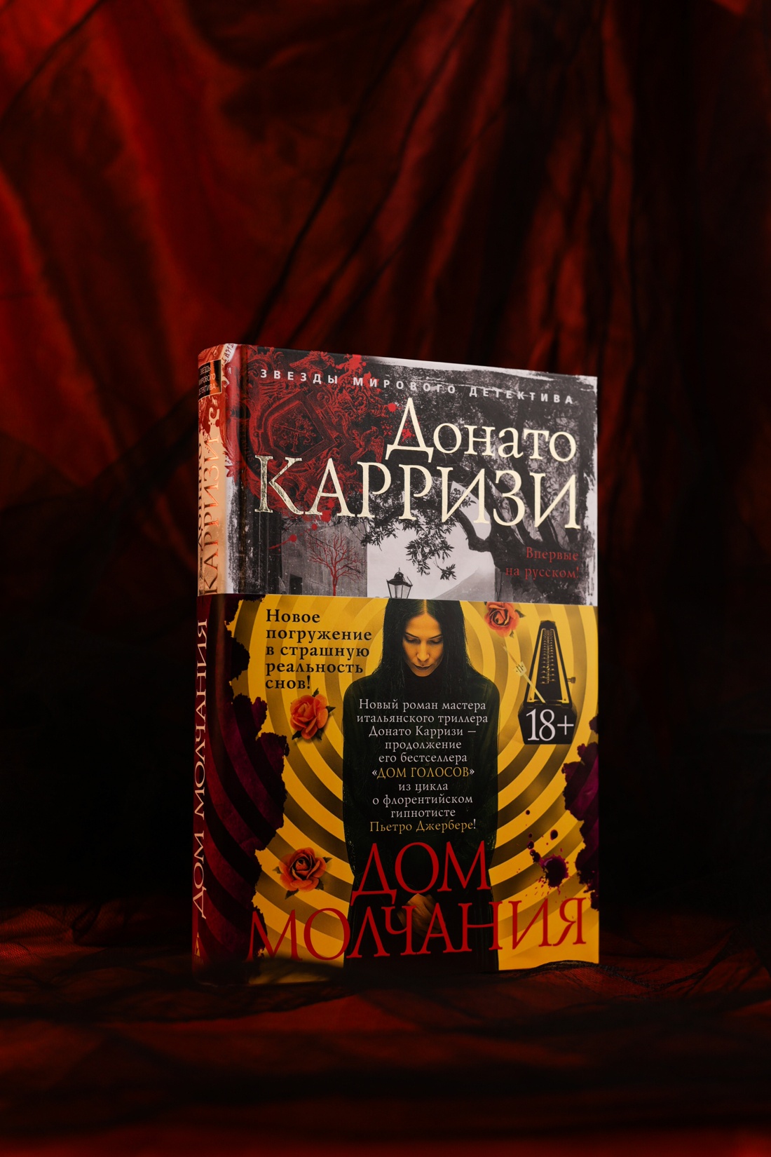 Промо материал к книге "Дом молчания" №4