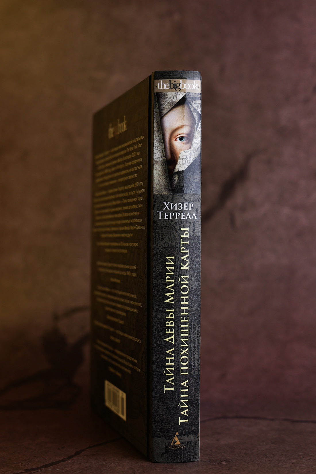 Промо материал к книге "Тайна Девы Марии.Тайна похищенной карты" №7