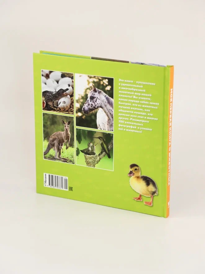 Промо материал к книге "Моя первая книга о животных. 200 фотографий" №9